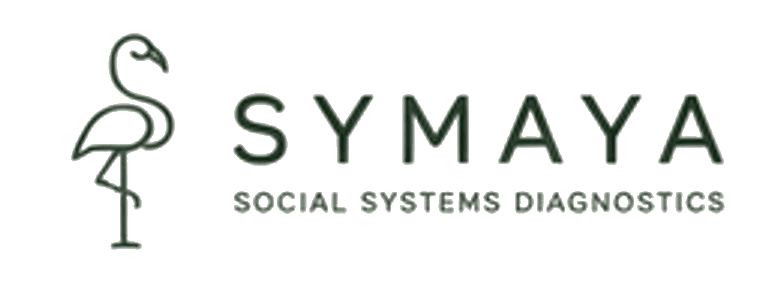 SYMAYA – Social Systems Diagnostics